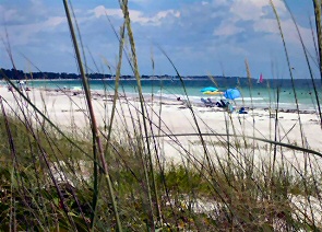 112peppertree074-beach